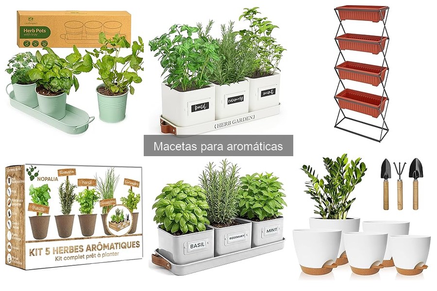 Macetas para aromáticas en espacios pequeños: Mejores opciones