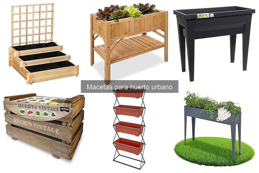 Macetas para Interior vs Exterior: ¡Elige la Mejor!