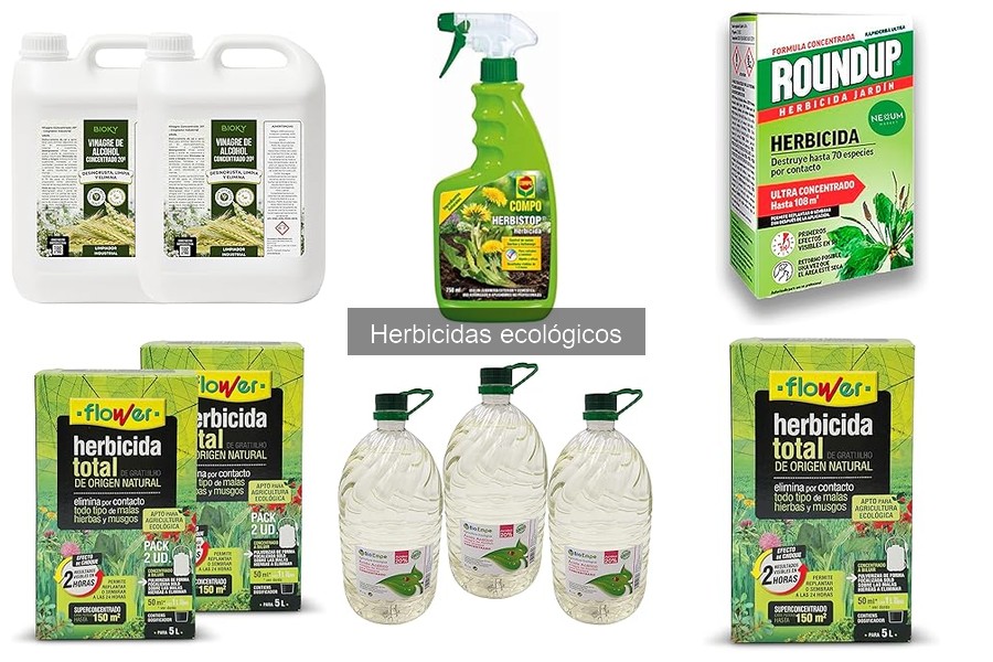 ** Mantenimiento de áreas tratadas con herbicidas ecológicos