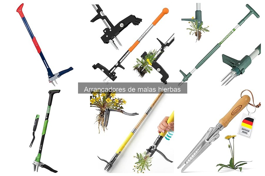 Mantenimiento de arrancadores de malas hierbas: Guía útil