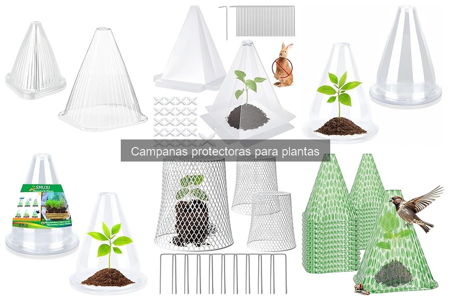 Mantenimiento de Campanas Protectoras para Plantas: Guía Práctica