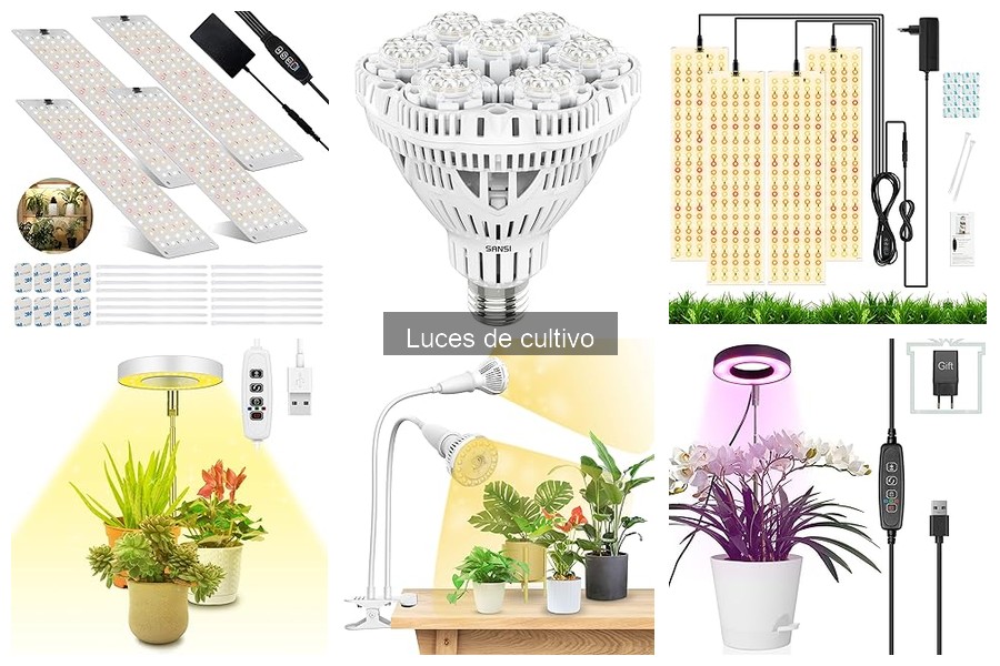 Mantenimiento de luces de cultivo: consejos para su durabilidad