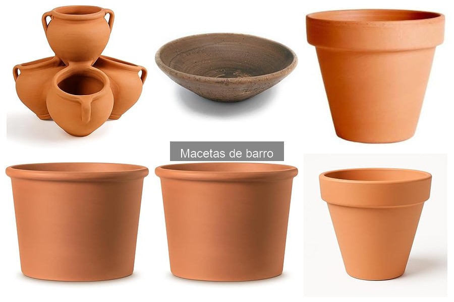 Mantenimiento de macetas de barro: cuidados y limpieza