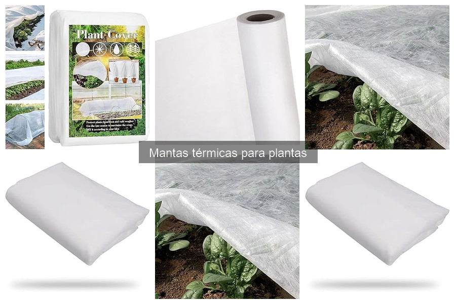 Mantenimiento de mantas térmicas para plantas: Consejos prácticos