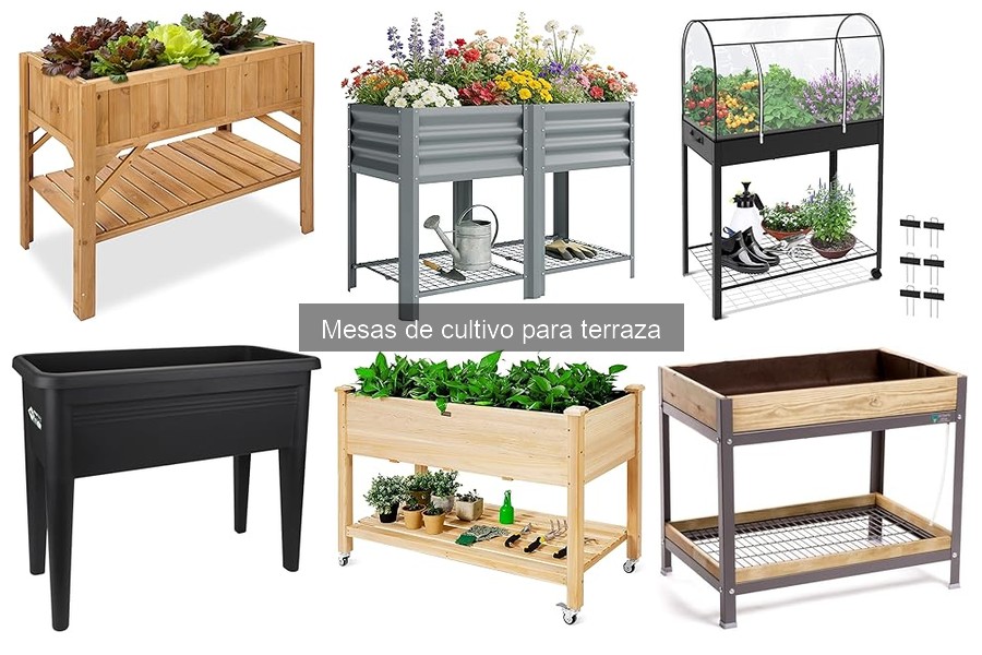 Mantenimiento de mesas de cultivo: consejos para su durabilidad