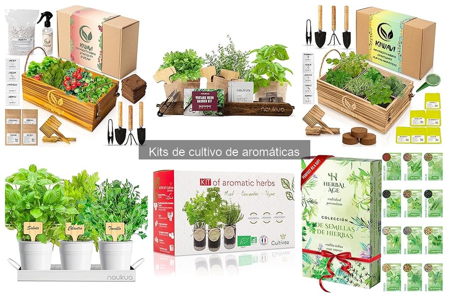 Mantenimiento de plantas en kits de cultivo de aromáticas