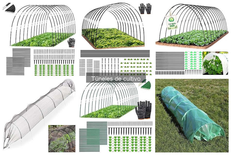 Mantenimiento de túneles de cultivo: mejores prácticas y tips