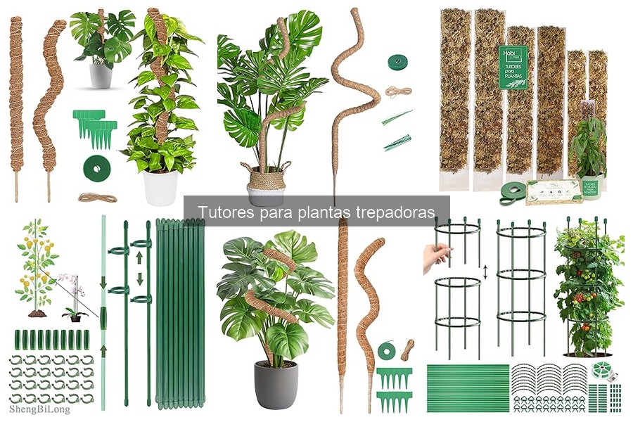 Mantenimiento de tutores para plantas trepadoras: Consejos útiles