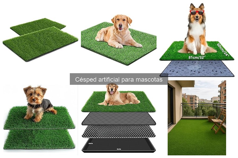 Mantenimiento del césped artificial para mascotas: Consejos prácticos