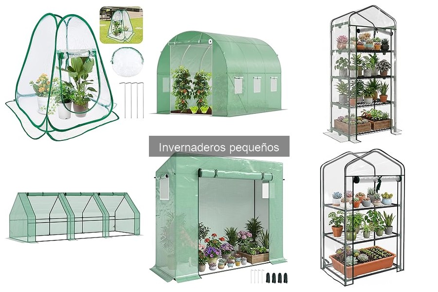 Mantenimiento Esencial para Invernaderos Pequeños