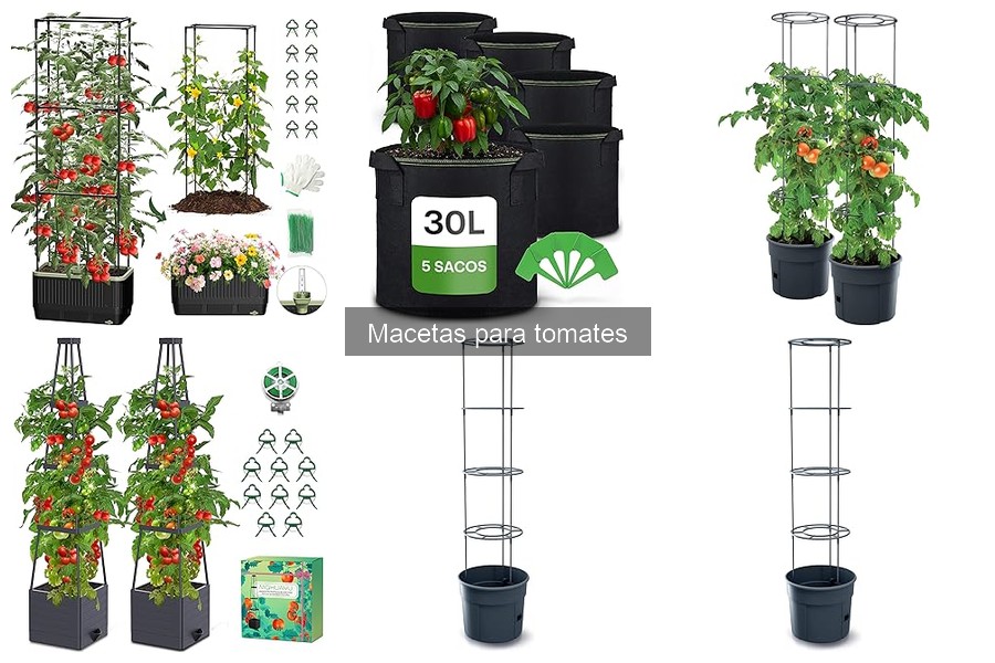 Maximiza tu espacio con macetas para tomates en casa