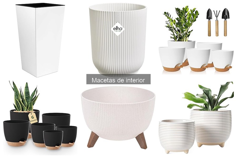 Mejor maceta para plantas de interior: comparativa 2023