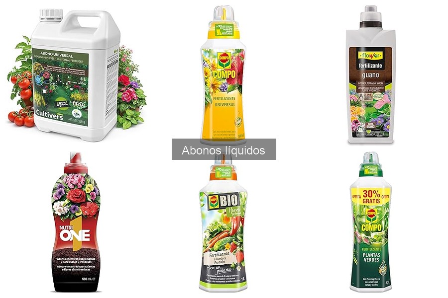 Mejores abonos líquidos para plantas de interior