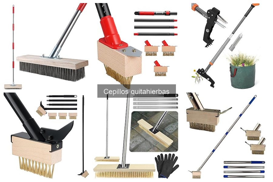 Mejores accesorios para cepillos quitahierbas efectivos