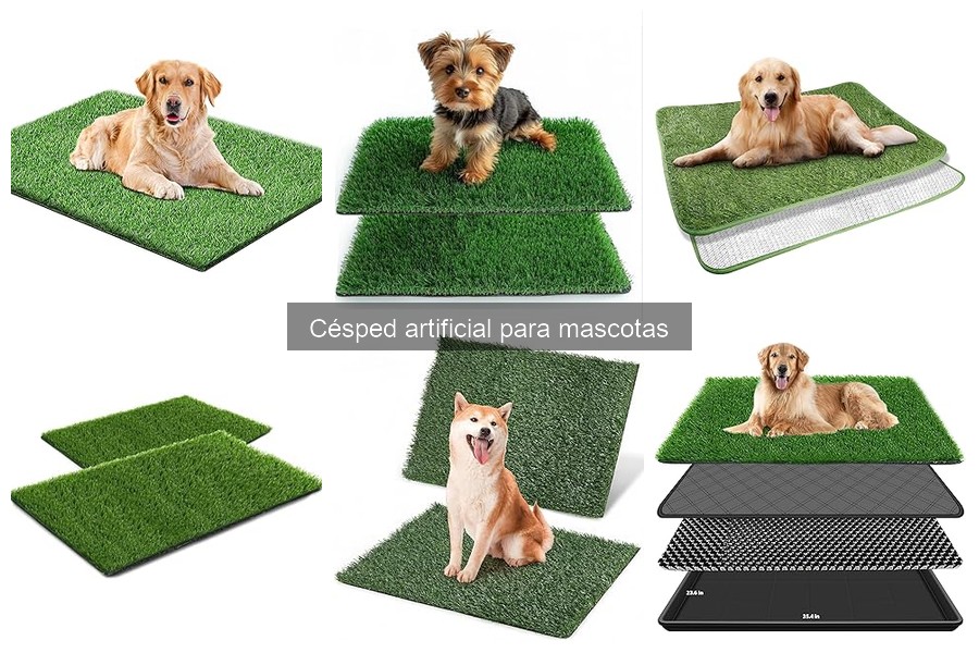 Mejores céspedes artificiales para hogares con mascotas