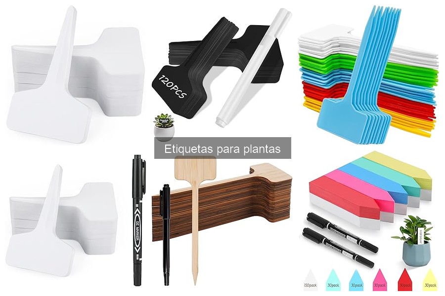 Mejores etiquetas para plantas en huertos urbanos