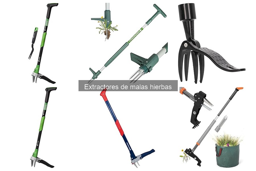 Mejores extractores de malas hierbas para principiantes