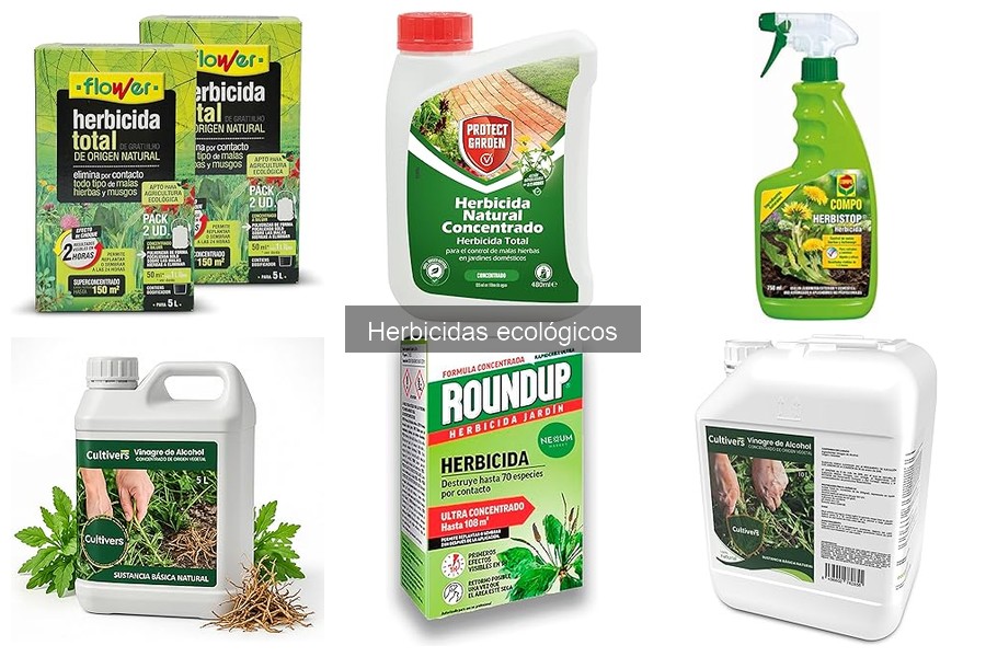 Mejores herbicidas ecológicos: opiniones y reseñas 2023