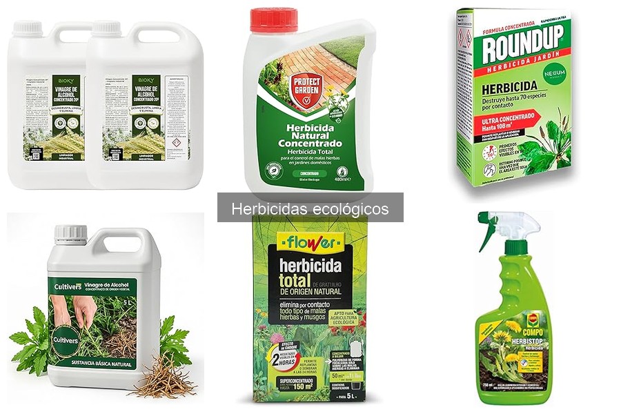 Mejores herbicidas ecológicos para tu huerto urbano