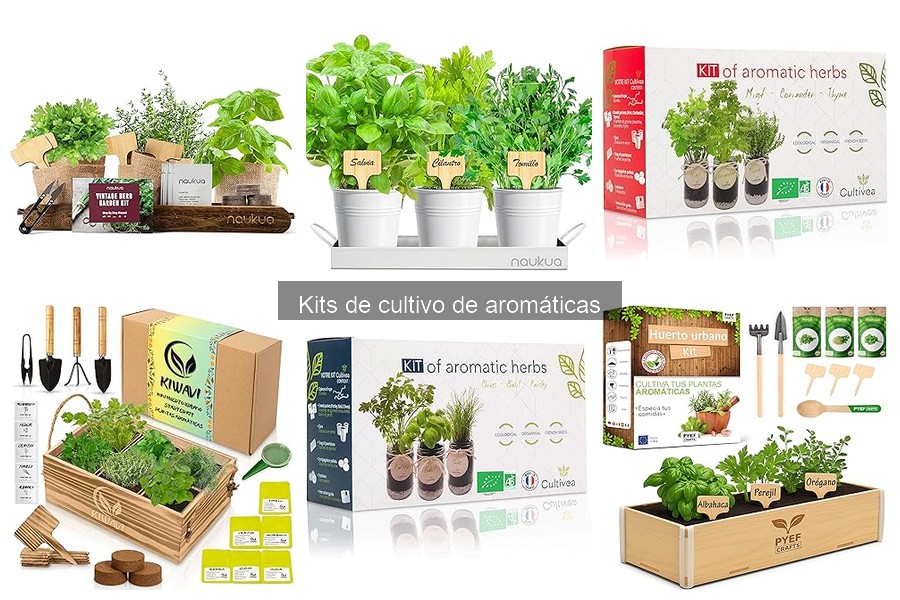 Mejores kits de cultivo de aromáticas 2023