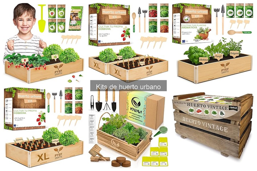 Mejores kits de huerto urbano para principiantes en 2023