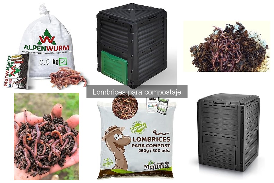 Mejores lombrices para compostaje en interiores: comparativa