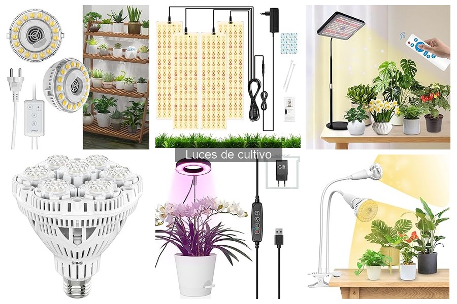Mejores luces de cultivo para principiantes: comparativa 2023