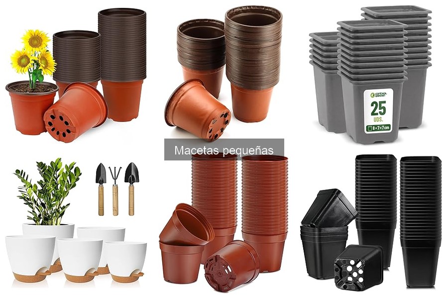 Mejores lugares para comprar macetas pequeñas a buen precio
