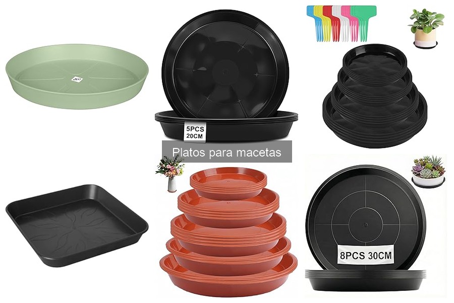 Mejores lugares para comprar platos para macetas