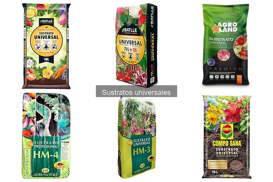 Mejores lugares para comprar sustratos universales baratos