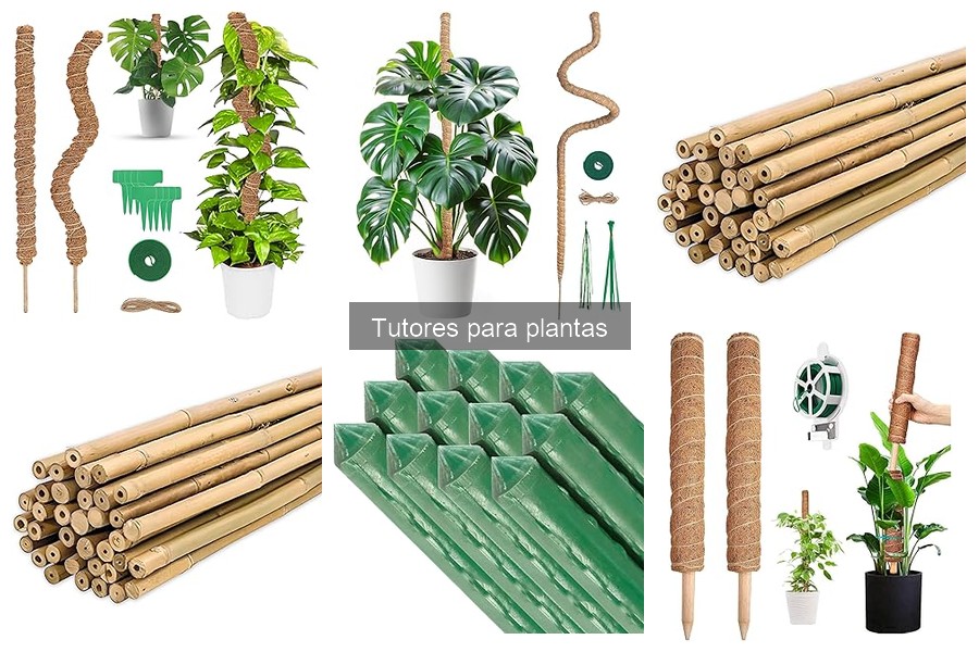 Mejores lugares para comprar tutores para plantas a buen precio
