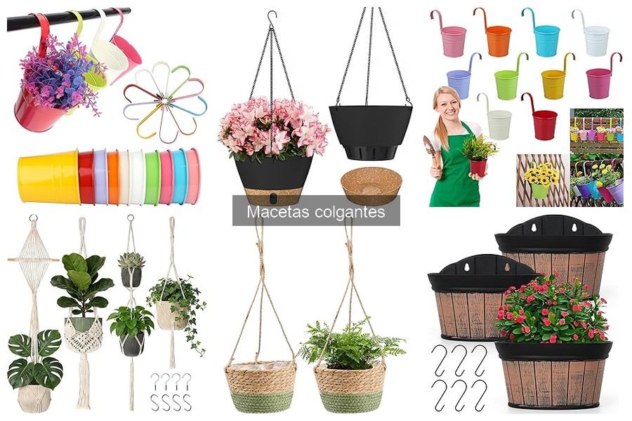 Mejores macetas colgantes para apartamentos pequeños