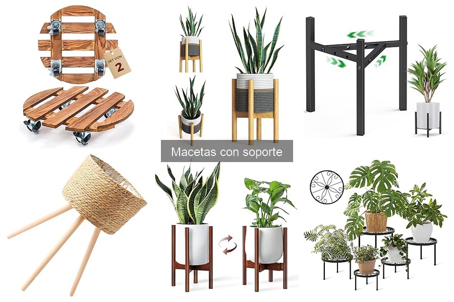 Mejores macetas con soporte para interiores: comparativa 2023