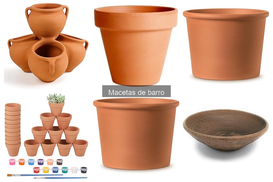 Mejores macetas de barro para interiores y exteriores