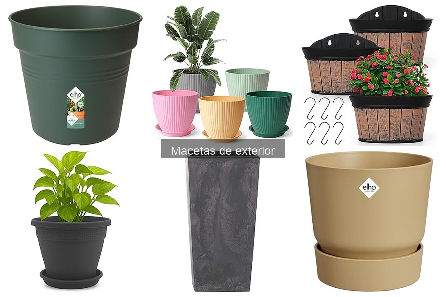Mejores macetas de cerámica para exteriores en 2023