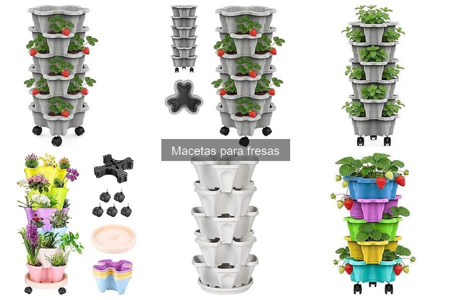 Mejores macetas para cultivar fresas en apartamentos