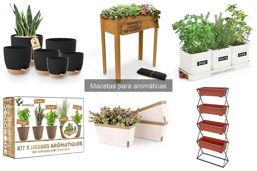 Mejores macetas para cultivar plantas aromáticas