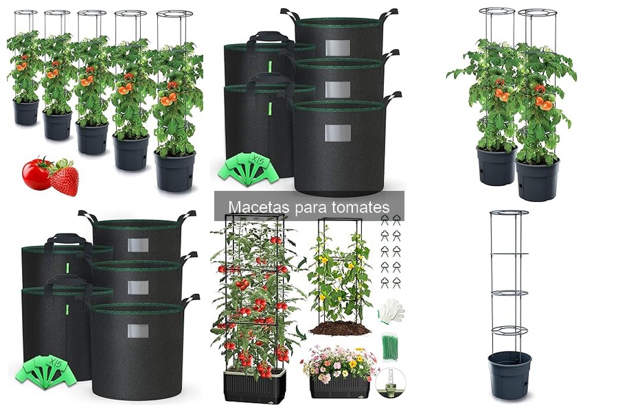 Mejores macetas para tomates: comparativa de tipos y materiales