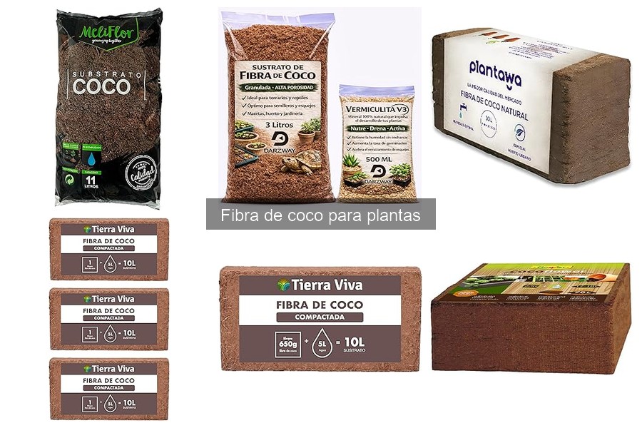 Mejores marcas de fibra de coco para plantas en Amazon