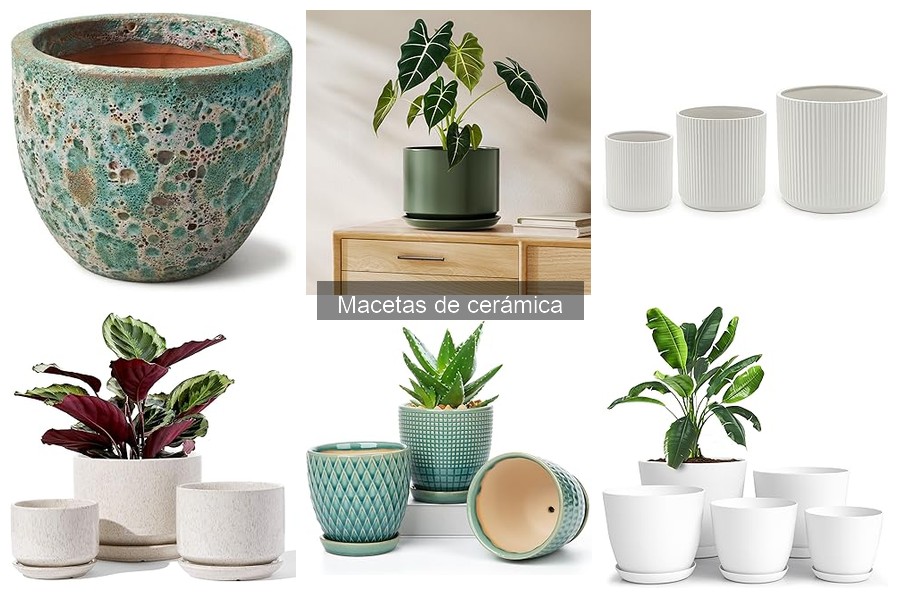 Mejores marcas de macetas de cerámica para tus plantas