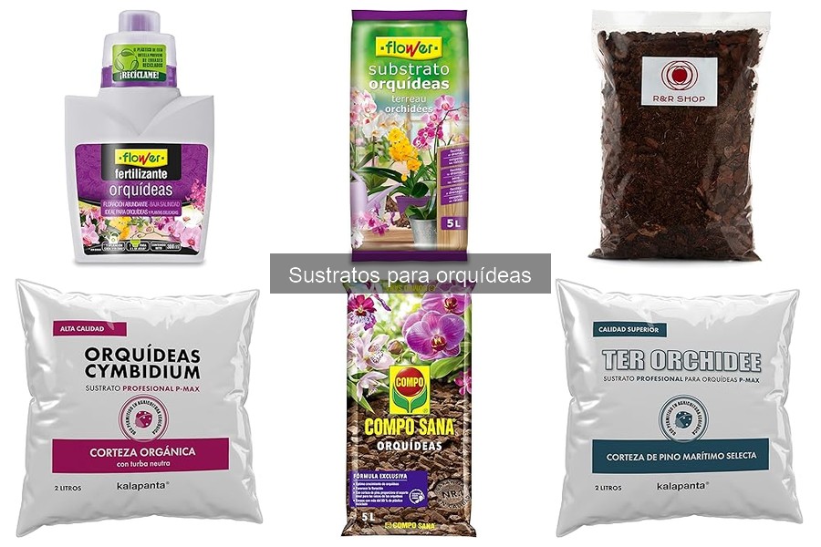 Mejores marcas de sustratos para orquídeas en 2023