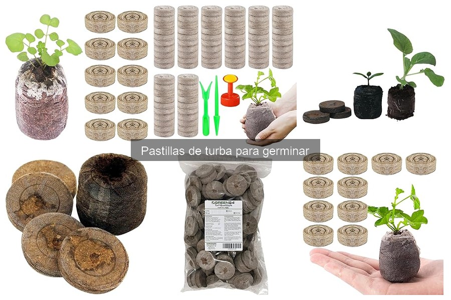 Mejores pastillas de turba para germinación: guía de selección