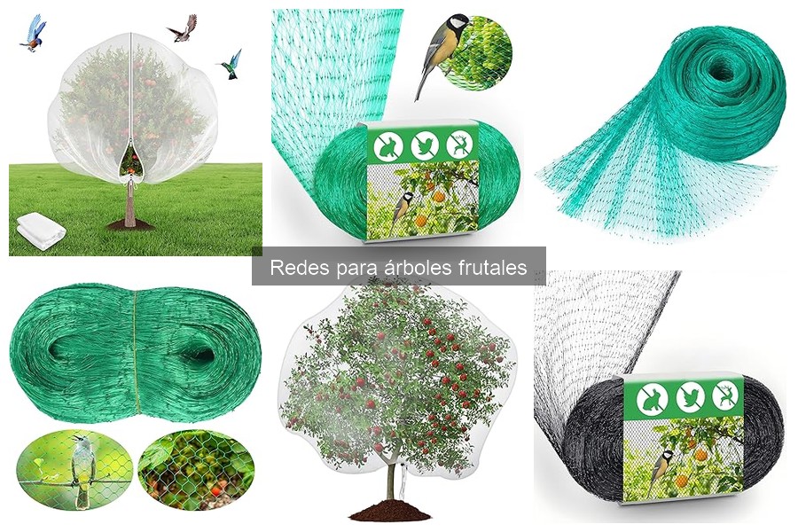 Mejores redes para árboles frutales en 2023: comparativa