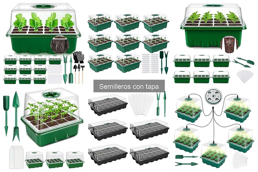 Mejores semilleros con tapa para tu huerto urbano