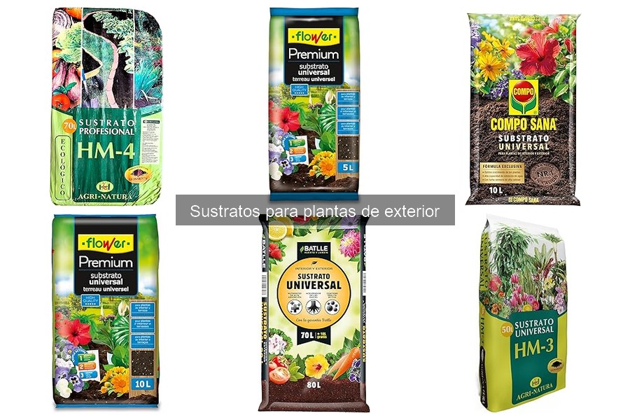 Mejores sustratos para hortalizas en cultivo exterior