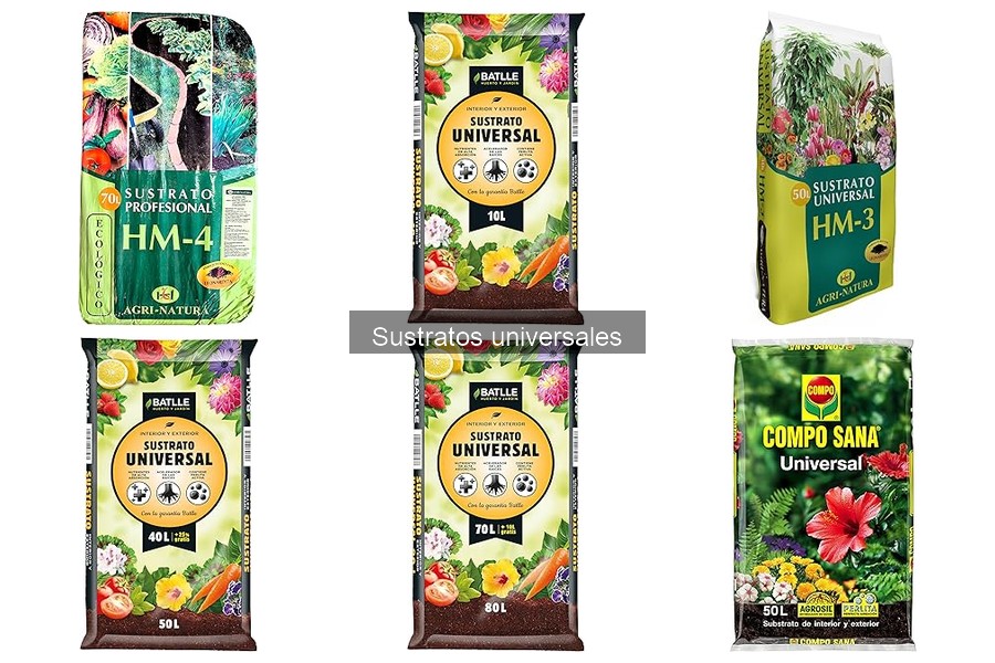 Mejores sustratos universales para cultivo en interiores