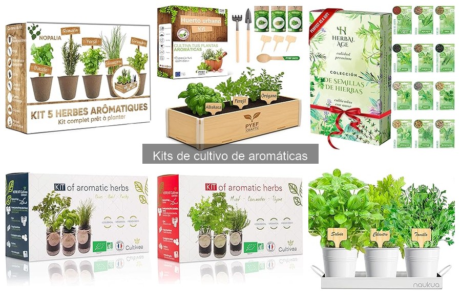 Mejores tiendas para comprar kits de cultivo de aromáticas