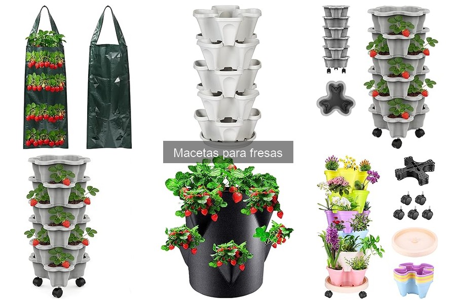 Mejores tipos de macetas para cultivar fresas en casa
