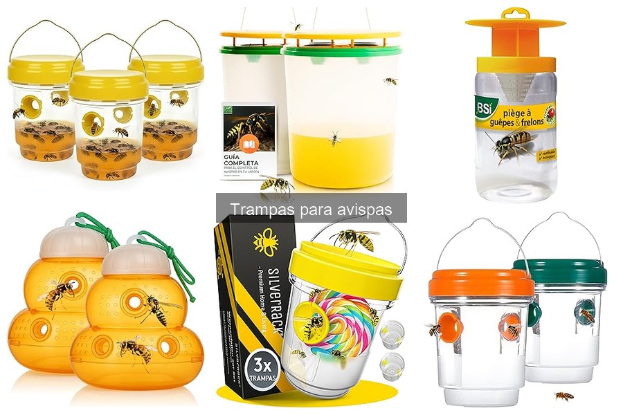 Mejores trampas para avispas: comparativa de efectividad