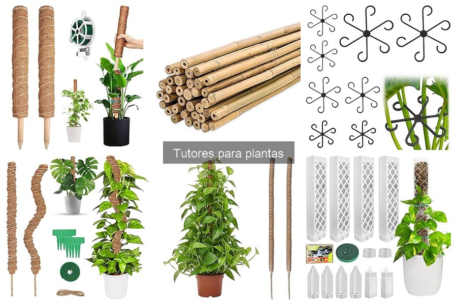 Mejores tutores para plantas trepadoras: comparación y análisis